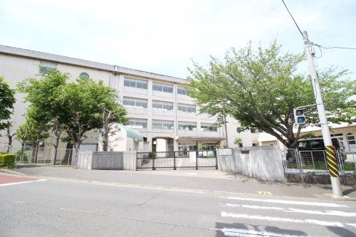 藤沢市立小糸小学校の画像