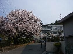 姫路市立　花田中学校の画像