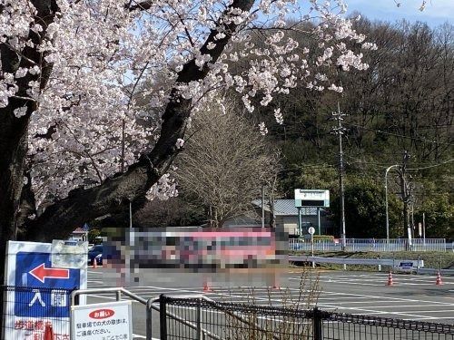 こどもの国(神奈川県)の画像