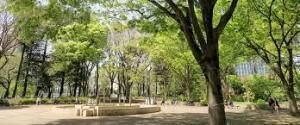 千川上水公園の画像