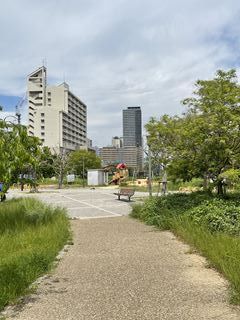 難波塩草敷津公園の画像