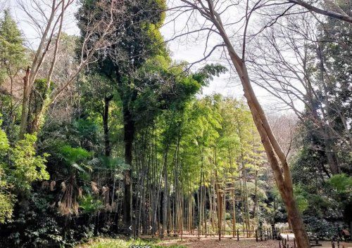 川崎市立東高根森林公園の画像