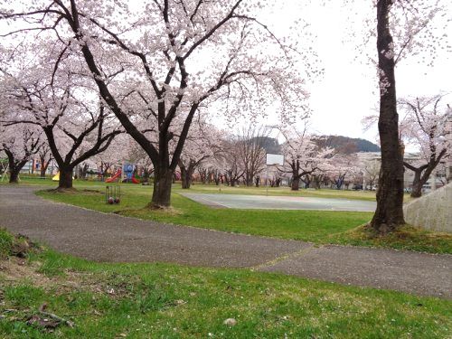 小坂中央公園の画像