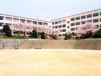 白川台中学校の画像