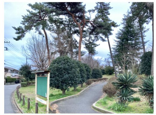 江戸川台1号緑地の画像