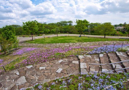 相模三川公園の画像