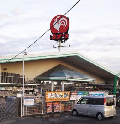 コメリ　岩間店の画像