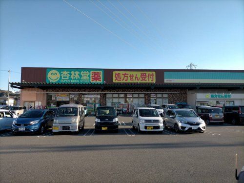 杏林堂ドラッグストア 静岡小鹿店の画像