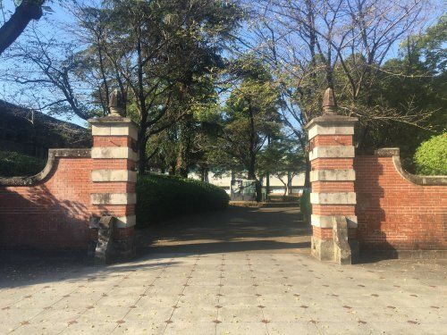 国立熊本大学の画像