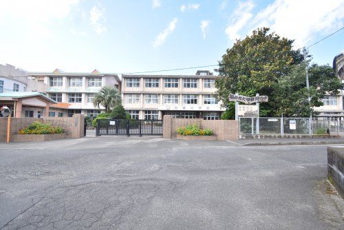 鹿屋市立田崎中学校の画像