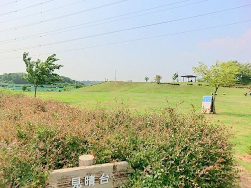 蟹ヶ谷公園の画像