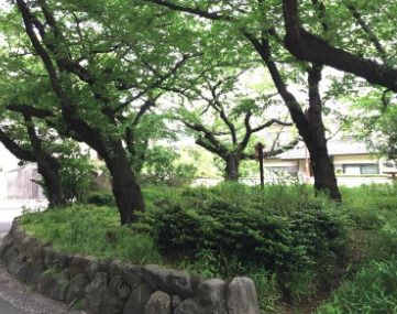 徳川街園の画像