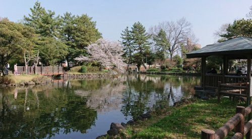 志賀公園の画像