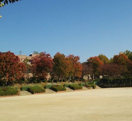 弥富公園の画像