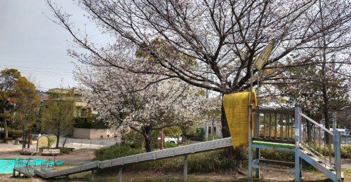 上朝日出公園の画像