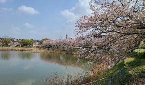 螺貝公園の画像