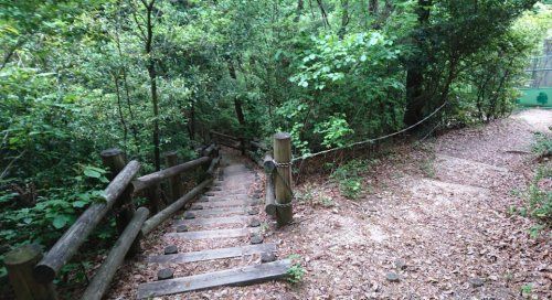 相生山緑地の画像