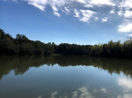 水広公園の画像