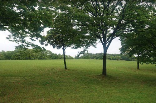 稲永東公園の画像