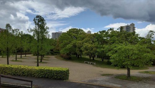 白鳥公園の画像