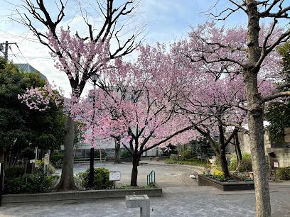 新宿区立中落合公園の画像