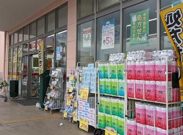 スギドラッグ ベルクスタウン草加谷塚店の画像