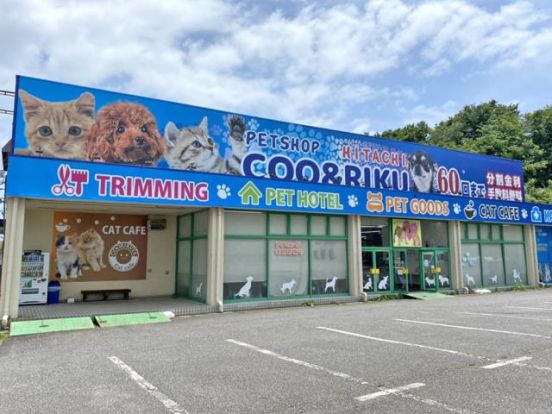 ペットショップＣｏｏ&ＲＩＫＵ　日立店の画像