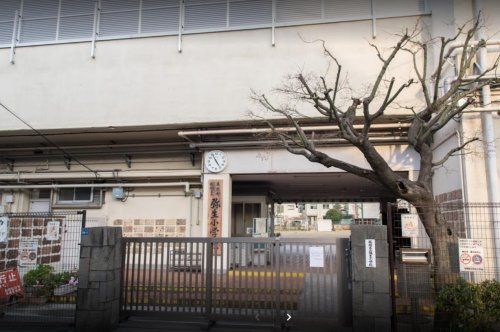 板橋区立弥生小学校の画像