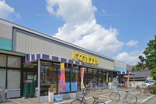 いなげや 府中美好店の画像