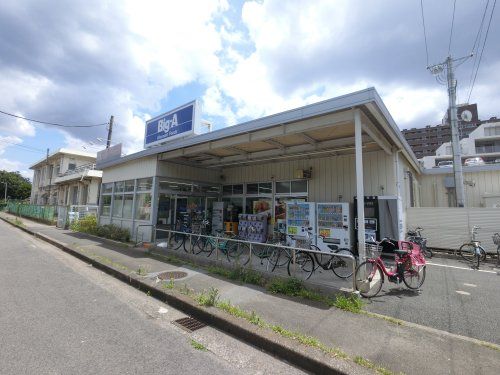 ビッグ・エー 千葉真砂店の画像