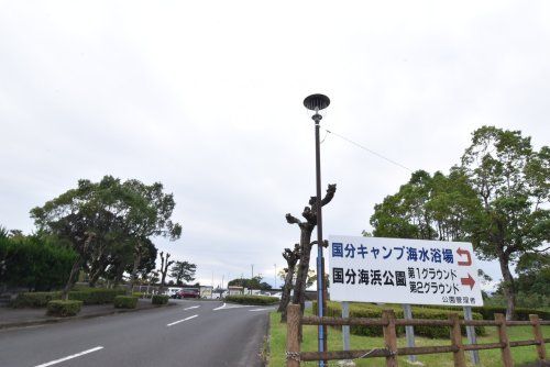 国分海浜公園の画像