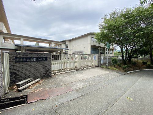 熊本市立菱形小学校の画像