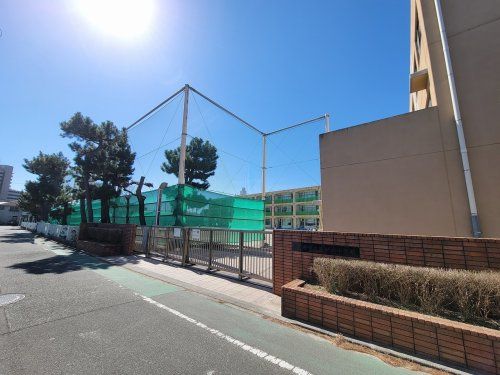 茅ヶ崎市立緑が浜小学校の画像
