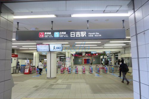 日吉(神奈川県)の画像