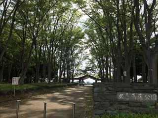 久喜菖蒲公園の画像