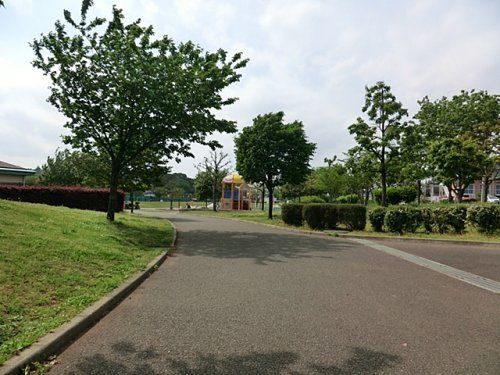 瀬谷本郷公園の画像
