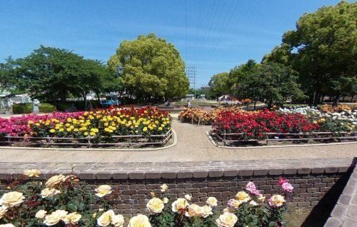 水明公園の画像