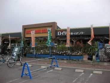 ロイヤルホームセンター 塚口店の画像