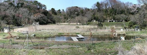 赤羽緑地の画像