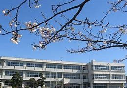 龍ケ崎市立川原代小学校の画像