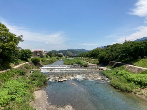 高野川の画像