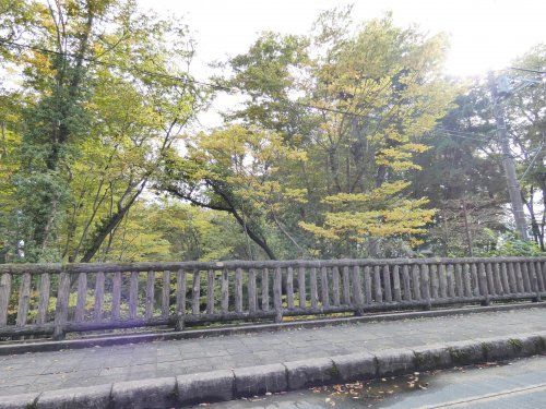 多摩川緑地福生加美上水公園の画像