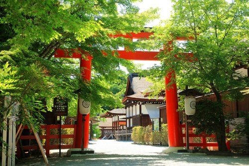 下鴨神社の画像