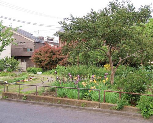 新宿区立戸山三丁目公園の画像