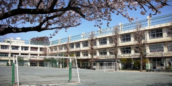 世田谷区立経堂小学校の画像