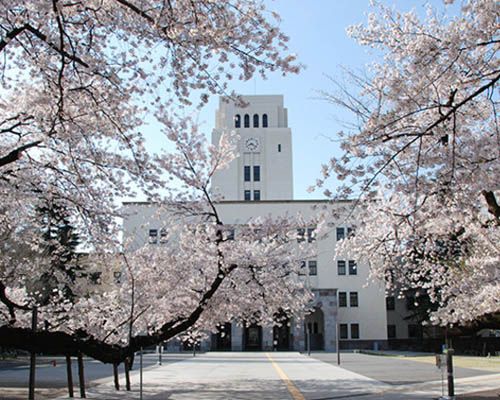 東京工業大学の画像