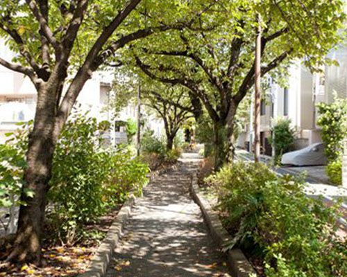 呑川柿の木坂支流緑道 みどりの散歩道 呑川・柿の木坂コースの画像