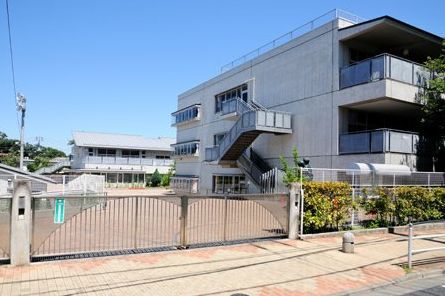 世田谷区立桜小学校の画像