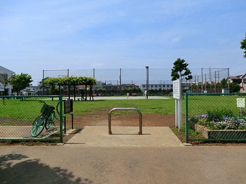 藤沢市立矢端公園の画像