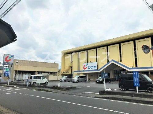 カワチ薬品 柏中央店の画像